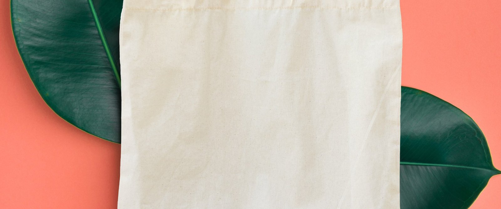 How To Clean Canvas Tote Bag